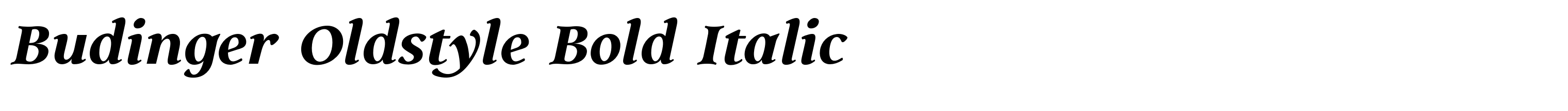 Budinger Oldstyle Bold Italic